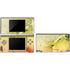 Profile of the Lion of Judah Nintendo Skins
